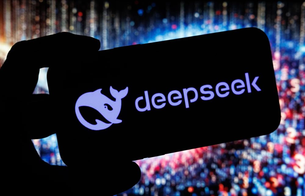250811_deepseek_13117