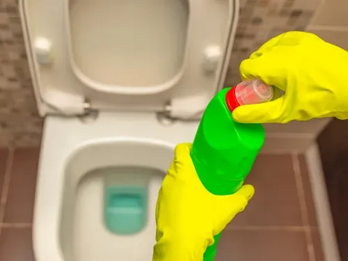 2ncths3owbpcaew2plorevt411yl