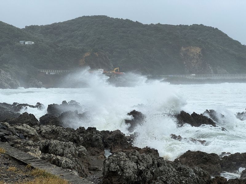 Strong winds hit Lyall bay in Wellington