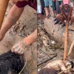 尼泊尔洪灾爆争议 男子疑偷取女死者首饰