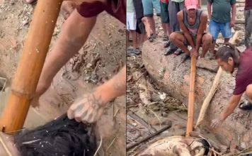 尼泊尔洪灾爆争议 男子疑偷取女死者首饰