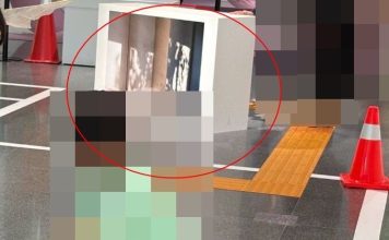 为阻止孩童挥杆伤人 女子惨遭展柜刺进锁骨