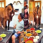主人问“要吃饭是吧?” 棕马竟点头开始吃饭