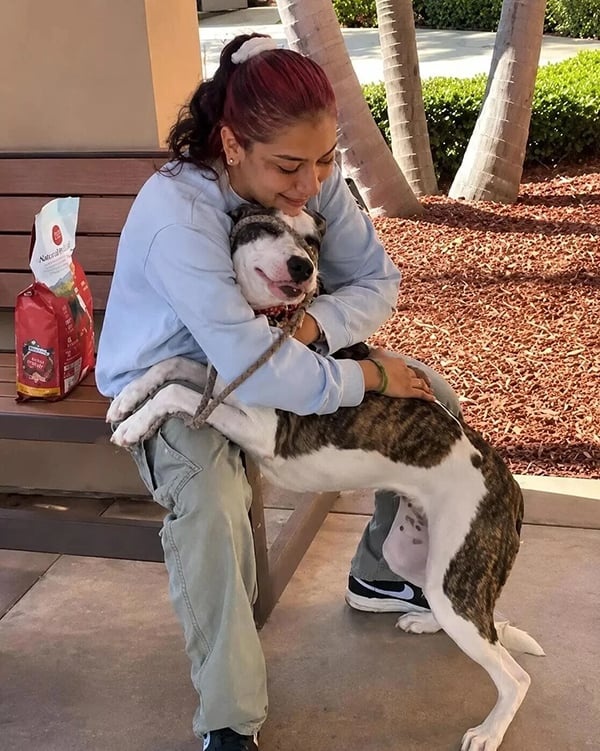 Human-dog-reunited-260819-a2-nor