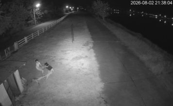企图强拉女子进厕所侵犯 男子失败后竟报警称被抢劫