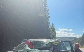 小型客机紧急迫降撞汽车 1人当场死亡