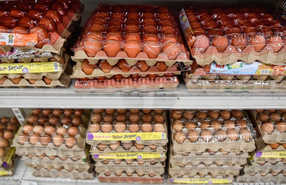 egg_0