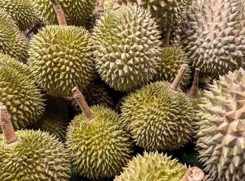 fresh-durian-fruits-market-stall