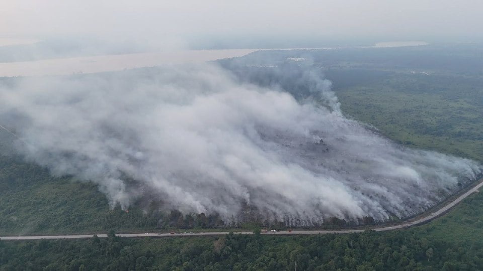 hutan_terbakor_1786370052