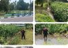 男子与友人深夜河边捕鱼 突然跌入水中送院不治