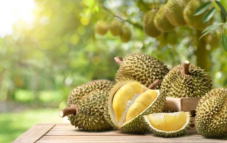 shutterstock_2479403023