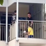 阿嫂天桥违规骑车被抓 突然单膝下跪30秒