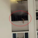 客厅突陷火海传爆炸声 独居阿叔困厨房命丧火场