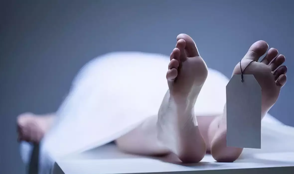 t0198d47760f2f86630