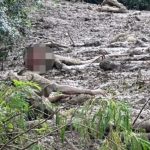 男子误闯封闭山区 陷泥里4天只剩头颅