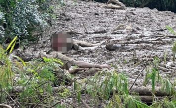 男子误闯封闭山区 陷泥里4天只剩头颅
