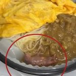 沙嗲牛肉米粉惊现活老鼠 食客打开餐盒当场傻眼