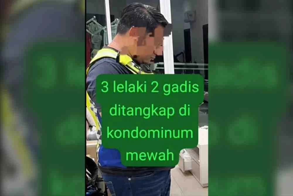 3649162
