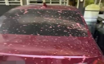 看电影写评语竟赔近10万 华裔女遭阿窿泼漆追债