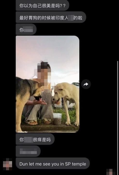 Feeding-dogs-verbal-abuse-260922
