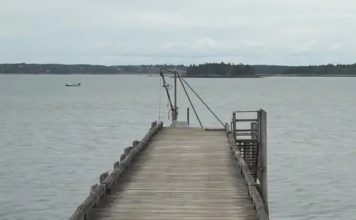 新婚喜宴隔天变成噩耗 妈妈载2孙离席后沉海身亡