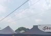 女店主车祸离世小店结业 最后100块蛋糕半小时抢完