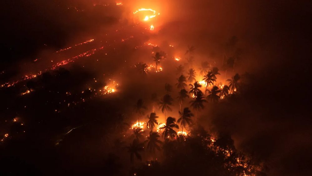 TB_KALIMANTAN INDONESIA FIRE_REU
