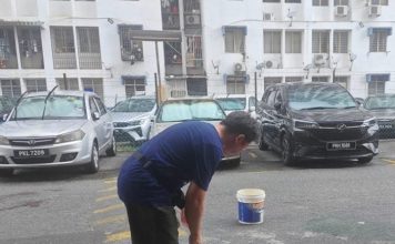 华裔老妇下车后突然倒地 惨遭后车撞倒碾毙
