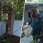 邻居以为她早已搬家 女教师遗骸屋内躺逾10年