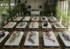 床垫商举办睡眠比赛 睡得最香的人可获222万
