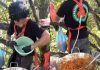 创业资金不足租不起店面 男子爬上树煮面卖面