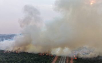 泥炭地烧完树林接着起火 大火一处未灭另一处又烧