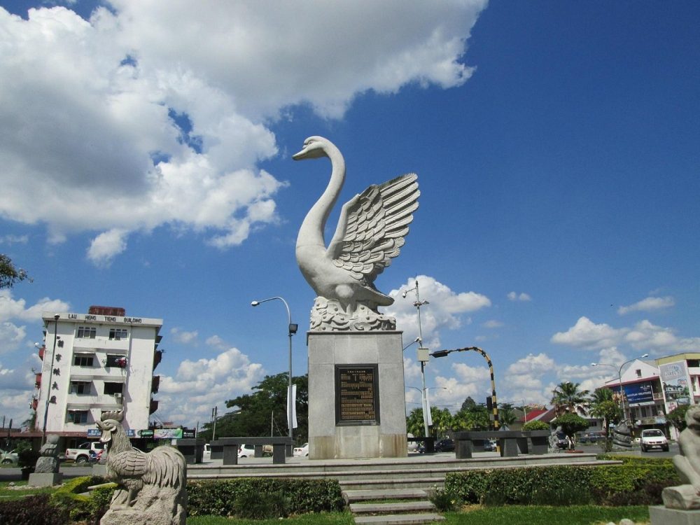 lin-s-swan-garden