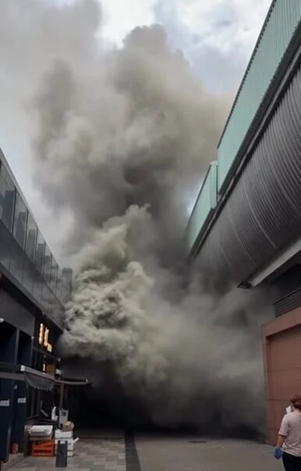 smoke-260905-a1-noresize
