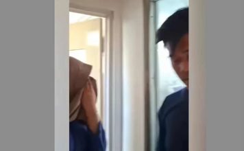 出门买猫粮却整晚不回 老公竟跑去别的女人家