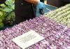 住家起获680万毒品 27岁游泳教练贩毒遭逮捕