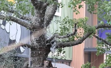 夫妻俩现场频频比心 黄翠如萧正楠甜度满分