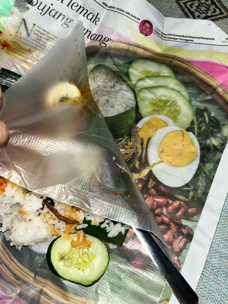 Extra-nasi-lemak-ingredients-sca