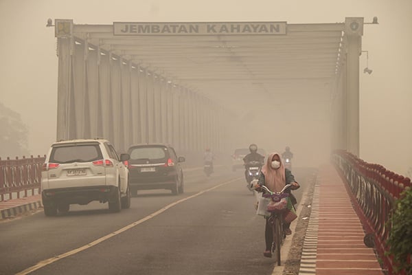 Indonesian-President-Haze-261008
