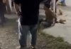 深夜惊见陌生男闯屋 女子一声尖叫逃过一劫