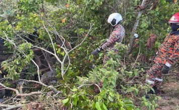 油槽罗里撞断电柱翻入丛林 司机受重伤当场身亡