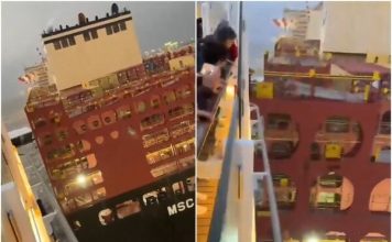豪华邮轮失控撞上货船 巨大声响乘客吓坏逃窜
