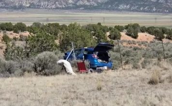 疑边开车边看色情网站 华裔女酿连环车祸1死