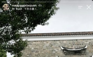 吕良伟传坐拥数十亿身家 夫妻出游尽显阔气