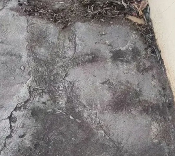 fn261023floor