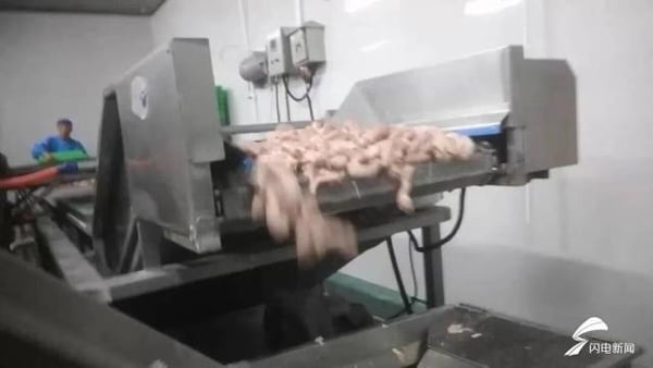 fn261029meat2-141503